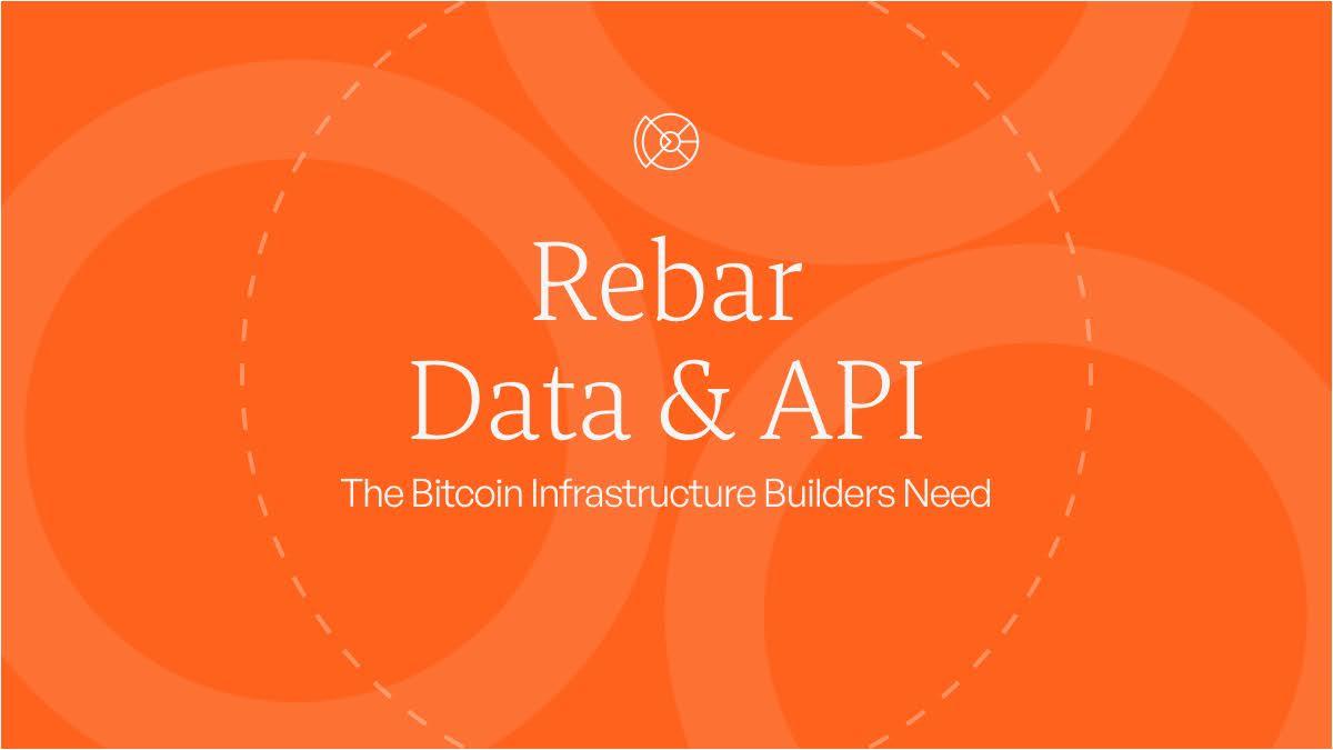 rebar-data-and-api